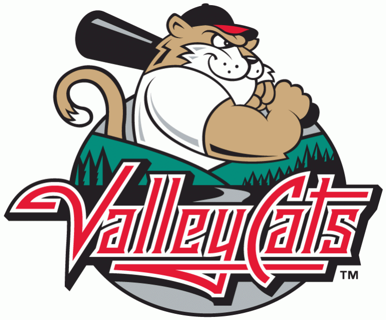 Tri-City Valleycats 2002-Pres Primary Logo iron on transfers for T-shirts